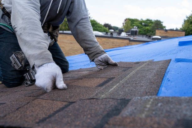 Best Flat Roof Repair Services  in Laporte, CO